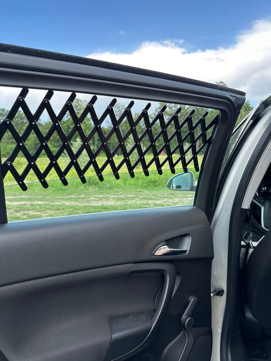 Auto Fenstergitter x2
